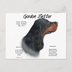 Carte Postale Gordon Setter Conception de l'histoire