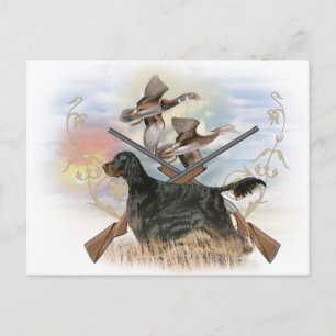 Carte Postale Gordon Setter Hunts