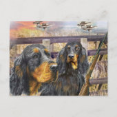 Carte Postale Gordon Setter sur une chasse cadeaux (Devant)