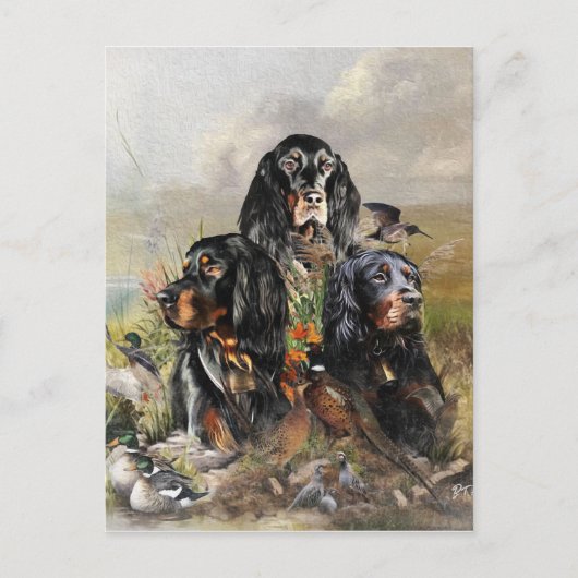 Carte Postale Gordon Setters, Passion pour les oiseaux, Art (Devant)