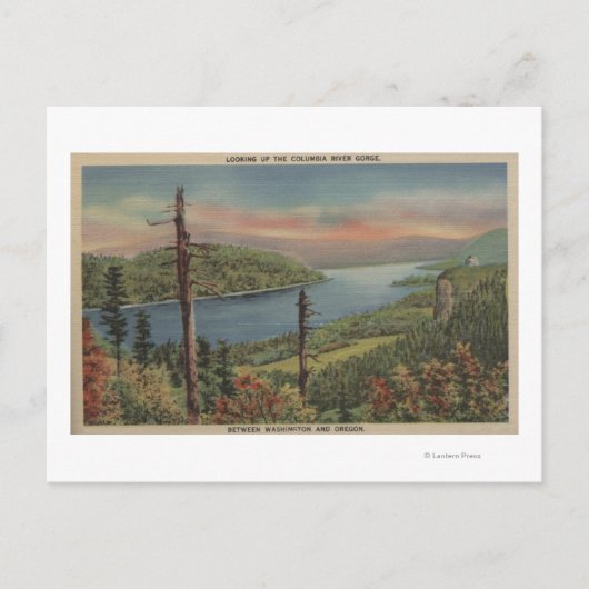 Carte Postale Gorge Columbia River (Devant)