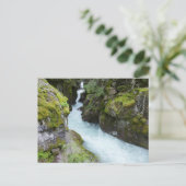 Carte Postale Gorge d'avalanche I au parc national Glacier (Debout devant)