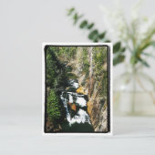 Carte Postale Gorge de Tallulah, GA (Debout devant)