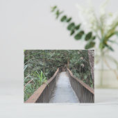 Carte Postale Gorge Mossman - Queensland Australie (Debout devant)