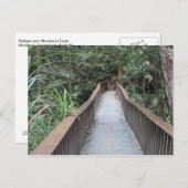 Carte Postale Gorge Mossman - Queensland Australie (Devant / Derrière)