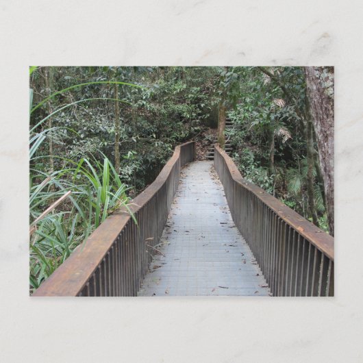 Carte Postale Gorge Mossman - Queensland Australie (Devant)