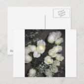 CARTE POSTALE GORGEANT BOUQUET DE ROSES BLANCHES (Devant / Derrière)