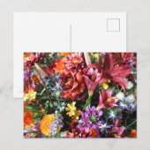 Carte Postale gorgeous, flamboyant flowers. (Devant / Derrière)