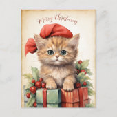 Carte Postale Gorgeous  Kitten  Christmas  (Devant)