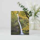 Carte Postale Gorges de Columbia, Oregon (Debout devant)