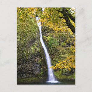 Carte Postale Gorges de Columbia, Oregon