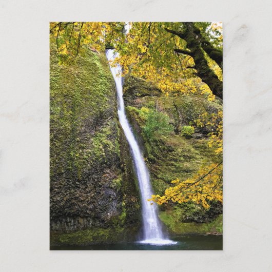 Carte Postale Gorges de Columbia, Oregon (Devant)