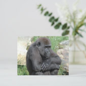 Carte postale Gorila Sitting (Debout devant)