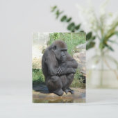 Carte postale Gorila Sitting (Debout devant)