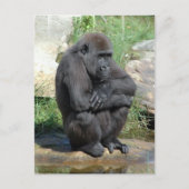 Carte postale Gorila Sitting (Devant)