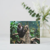 Carte Postale Gorilla (Debout devant)