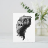 Carte Postale Gorilla (Debout devant)