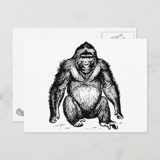 Carte Postale Gorilla (Devant / Derrière)