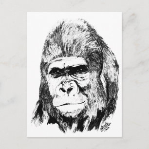 Carte Postale Gorilla