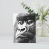 Carte Postale Gorilla (Debout devant)