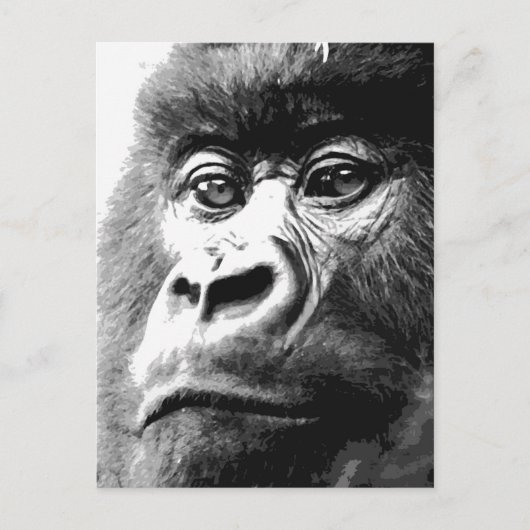 Carte Postale Gorilla (Devant)