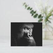 Carte Postale Gorilla (Debout devant)