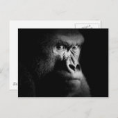 Carte Postale Gorilla (Devant / Derrière)