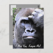 Carte Postale Gorilla_ (Devant / Derrière)