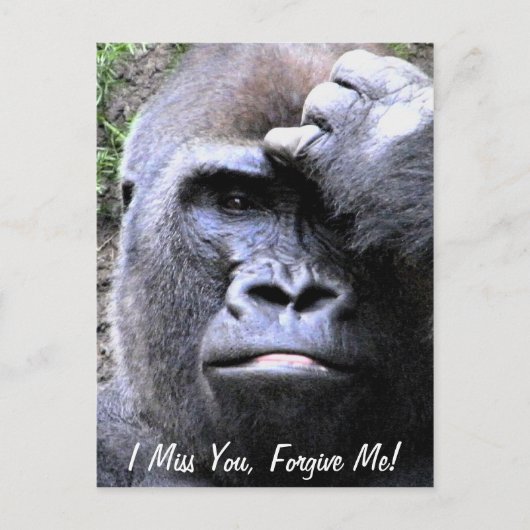 Carte Postale Gorilla_ (Devant)