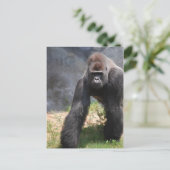 Carte postale Gorilla (Debout devant)