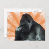 Carte postale Gorilla (Devant / Derrière)