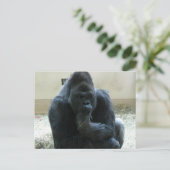 Carte Postale Gorilla (Debout devant)