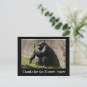 Carte postale Gorilla (Debout devant)
