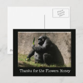 Carte postale Gorilla (Devant / Derrière)