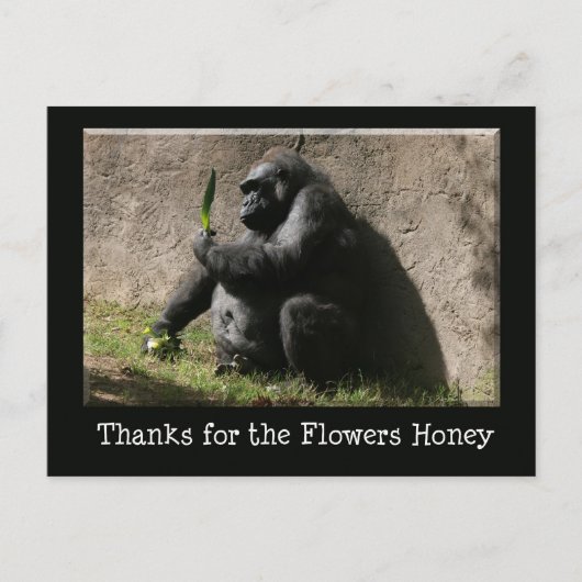 Carte postale Gorilla (Devant)