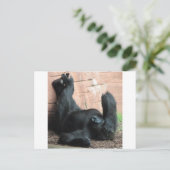 CARTE POSTALE GORILLA (Debout devant)