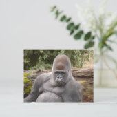 Carte Postale Gorilla_021 (Debout devant)