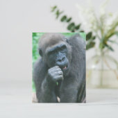 Carte postale Gorilla affamée (Debout devant)