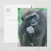Carte postale Gorilla affamée (Devant / Derrière)