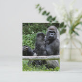Carte Postale Gorilla Ape Primate Faune Animale Photo (Debout devant)