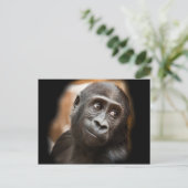 Carte Postale Gorilla Baby souriant (Debout devant)