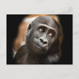 Carte Postale Gorilla Baby souriant