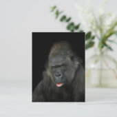 Carte Postale Gorilla Biddy Classic (Debout devant)