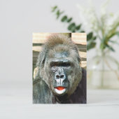 CARTE POSTALE GORILLA FRAÎCHE (Debout devant)
