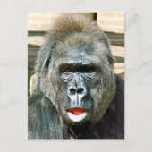 CARTE POSTALE GORILLA FRAÎCHE (Devant)