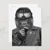 Carte Postale Gorilla Guy (Devant / Derrière)