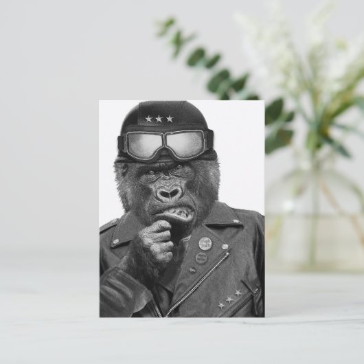 Carte Postale Gorilla Guy (Debout devant)