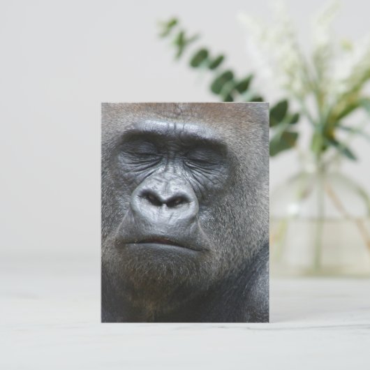 Carte postale Gorilla Look (Debout devant)