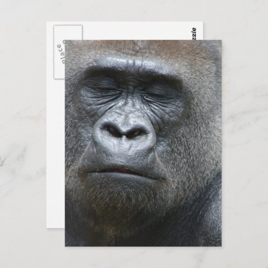 Carte postale Gorilla Look (Devant / Derrière)
