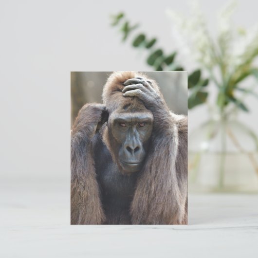 Carte Postale Gorilla Pose (Debout devant)